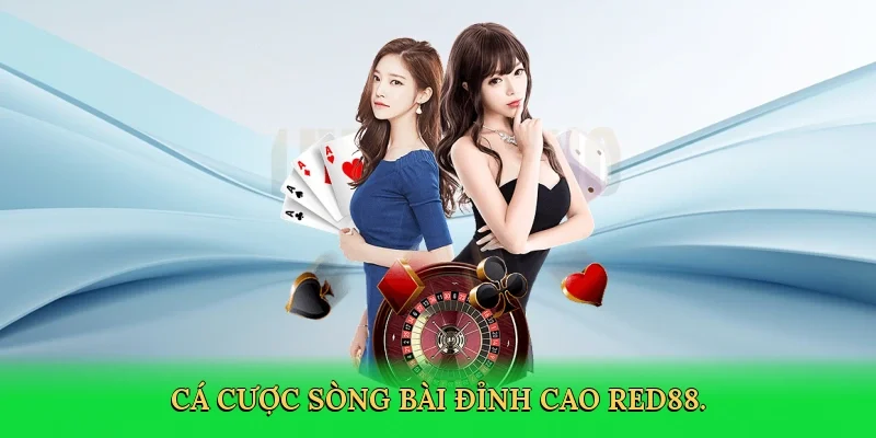 Cá cược sòng bài đỉnh cao RED88.