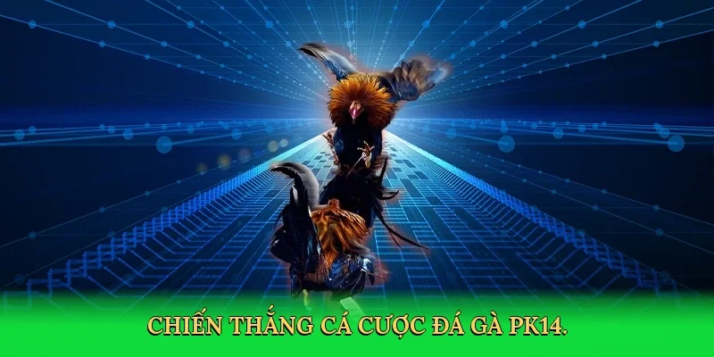 Chiến thắng cá cược đá gà PK14.