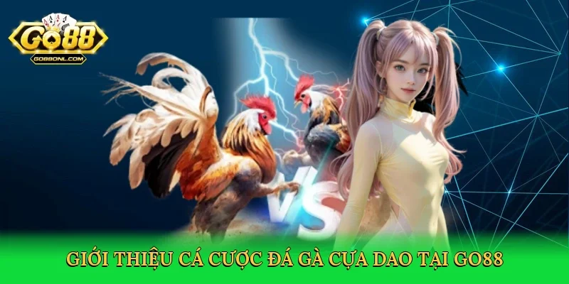 Giới thiệu cá cược đá gà cựa dao tại Go88
