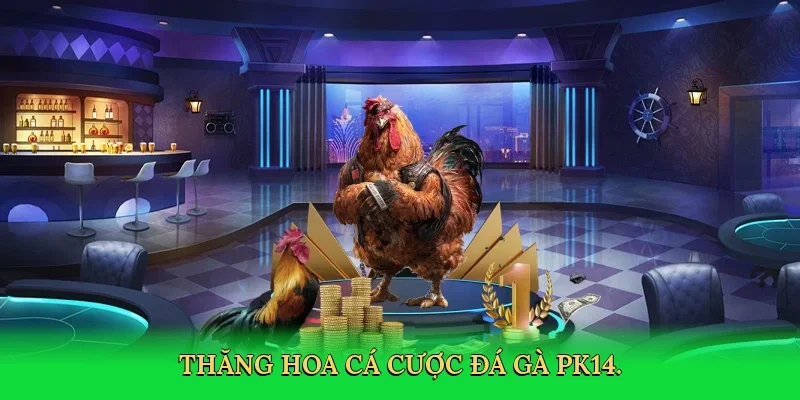 Thăng hoa cá cược đá gà PK14.