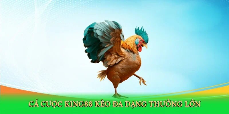 Cá cược King88 kèo đa dạng thưởng lớn