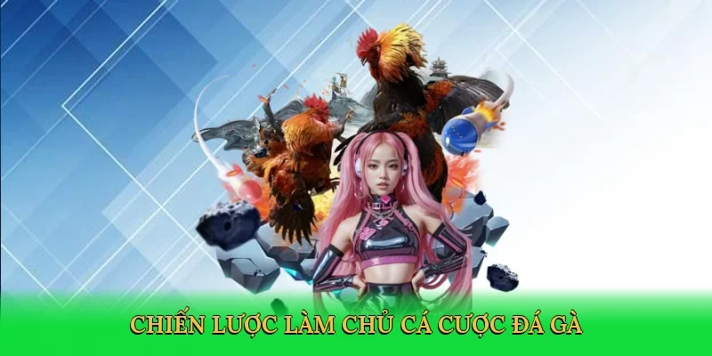 Chiến lược làm chủ cá cược đá gà
