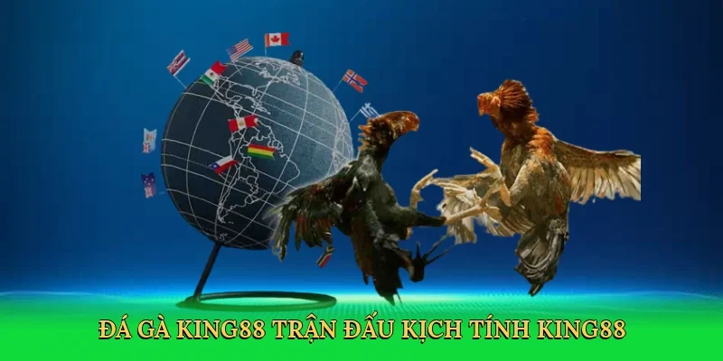 Đá gà King88 trận đấu kịch tính King88