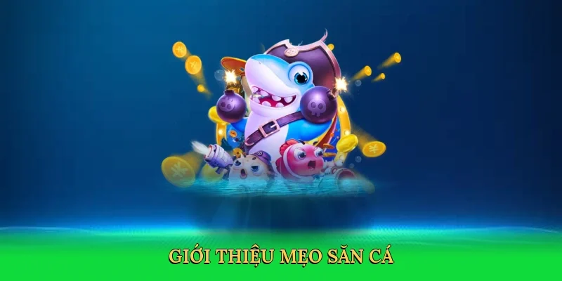 Giới thiệu Mẹo săn cá