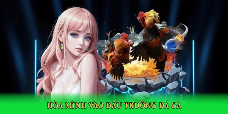 Hòa mình vào đấu trường đá gà