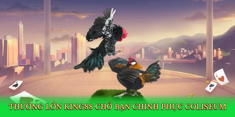 Thưởng lớn King88 chờ bạn chinh phục coliseum