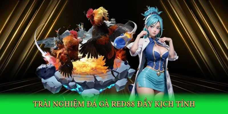 Trải nghiệm đá gà Red88 đầy kịch tính